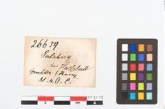 Etikett zu Bronzescheibe (NHMW-PRAE-026659)